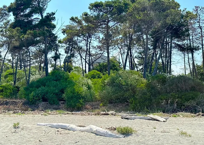 Apartment Vinosa Aleria (Corsica)