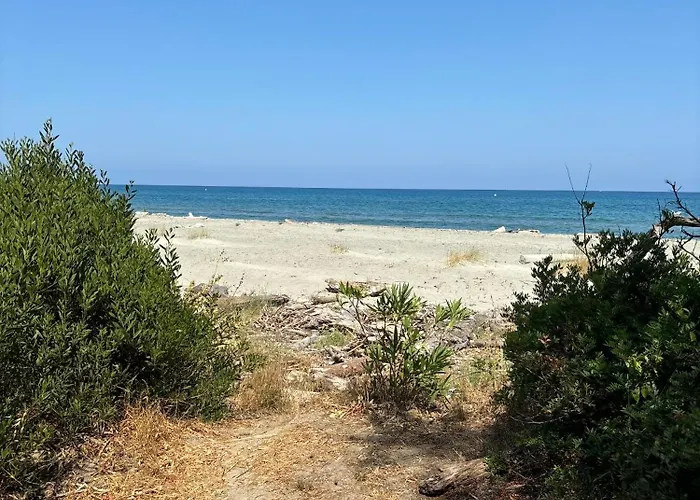 Vinosa Aleria (Corsica)