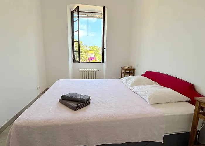 Vinosa * Aleria (Corsica)