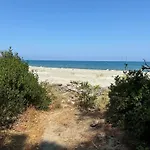 Vinosa אלריה